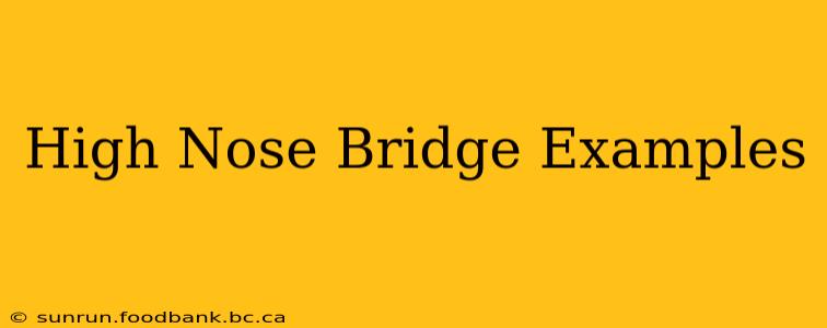 High Nose Bridge Examples