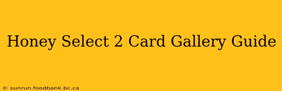 Honey Select 2 Card Gallery Guide