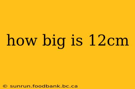 how big is 12cm