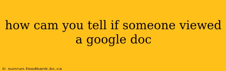 how cam you tell if someone viewed a google doc