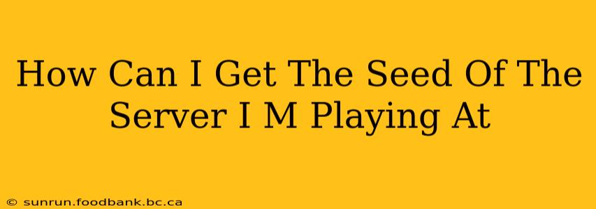 How Can I Get The Seed Of The Server I M Playing At