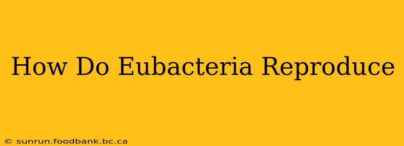 How Do Eubacteria Reproduce