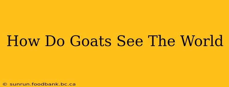 How Do Goats See The World