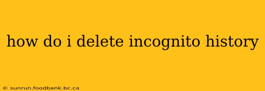 how do i delete incognito history