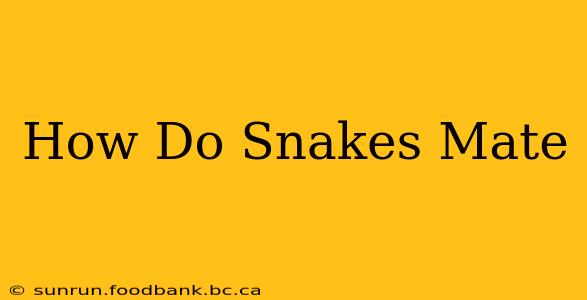 How Do Snakes Mate