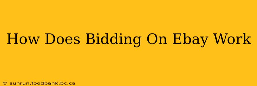 How Does Bidding On Ebay Work