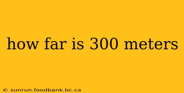 how far is 300 meters