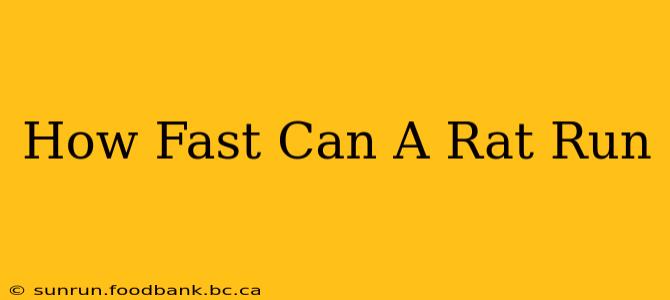 How Fast Can A Rat Run