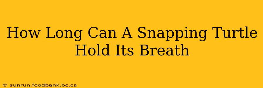 How Long Can A Snapping Turtle Hold Its Breath