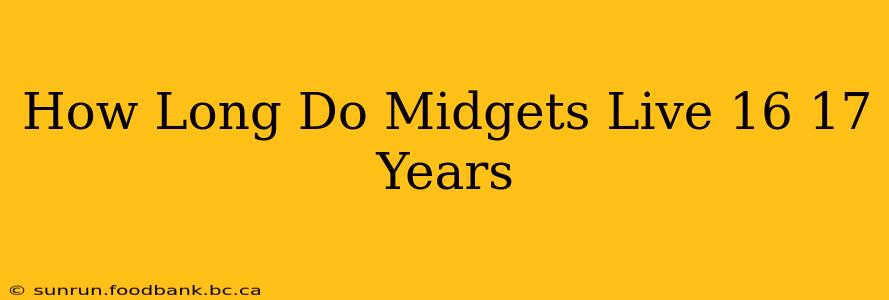 How Long Do Midgets Live 16 17 Years