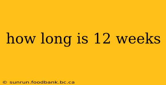 how long is 12 weeks