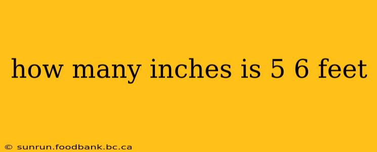 how many inches is 5 6 feet