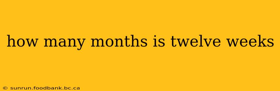how many months is twelve weeks