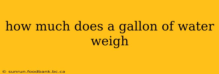 how much does a gallon of water weigh