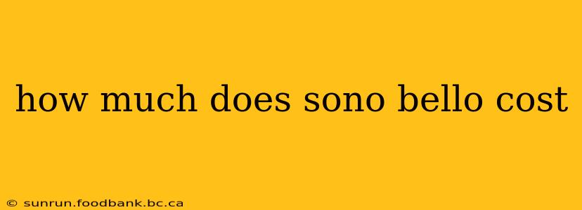how much does sono bello cost