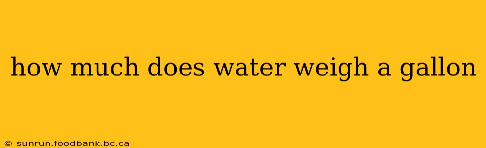 how much does water weigh a gallon