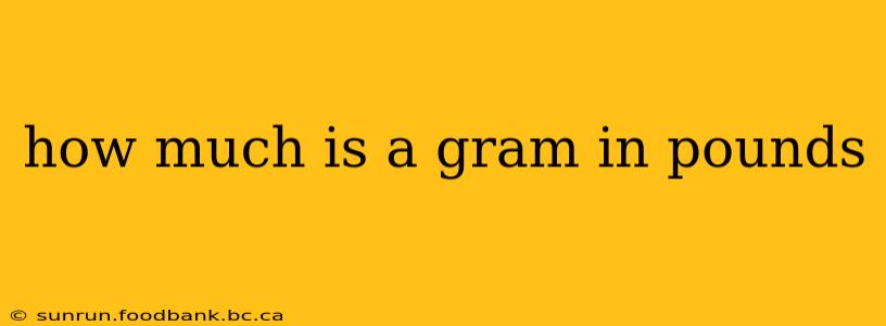 how much is a gram in pounds
