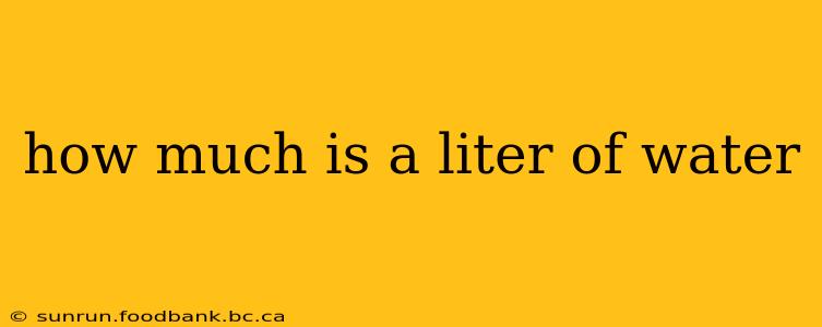 how much is a liter of water