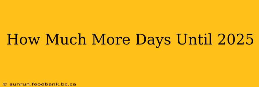 How Much More Days Until 2025