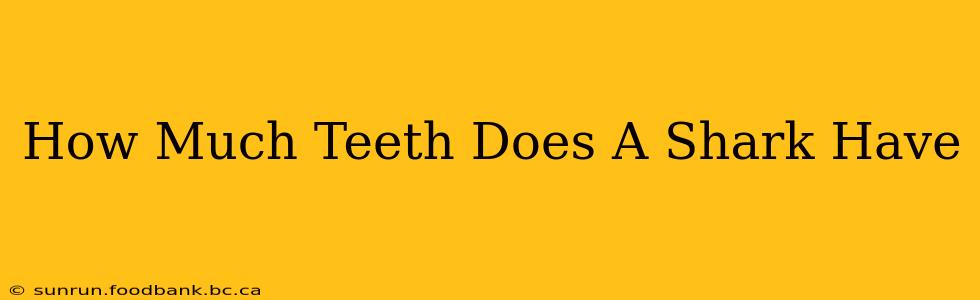How Much Teeth Does A Shark Have