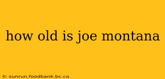 how old is joe montana
