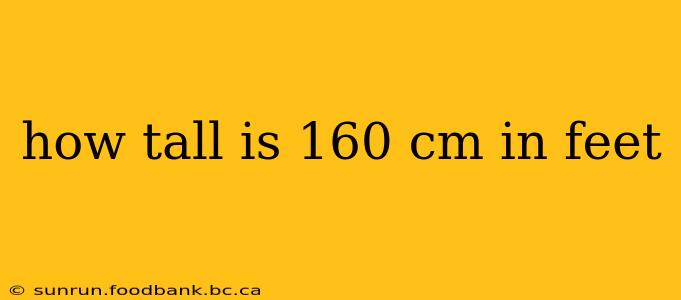how tall is 160 cm in feet