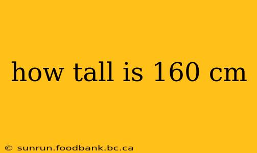 how tall is 160 cm