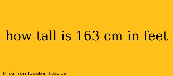 how tall is 163 cm in feet