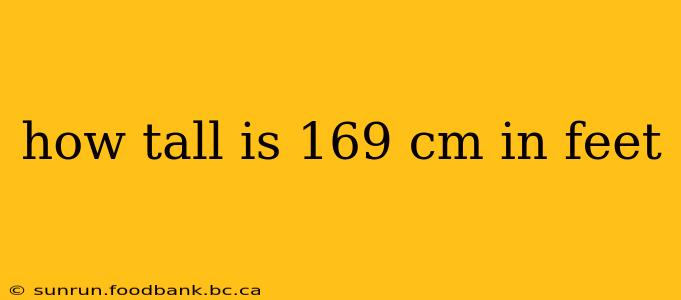 how tall is 169 cm in feet