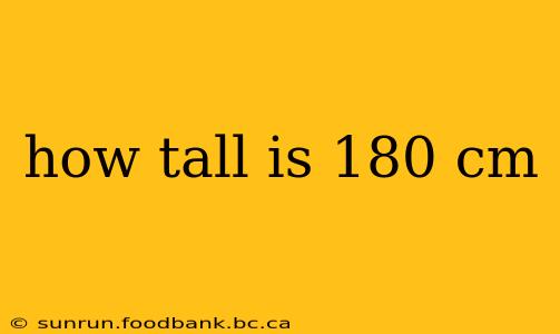 how tall is 180 cm