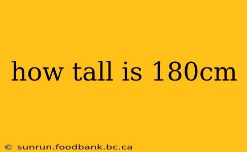 how tall is 180cm