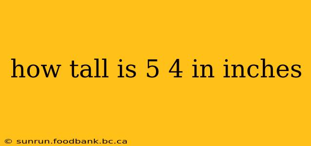 how tall is 5 4 in inches