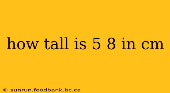 how tall is 5 8 in cm