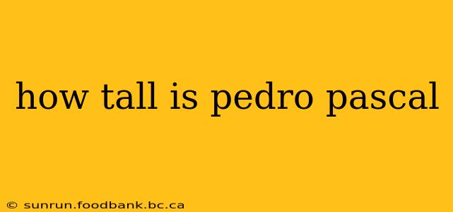 how tall is pedro pascal