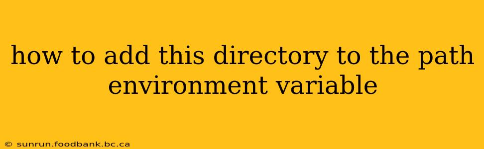 how to add this directory to the path environment variable