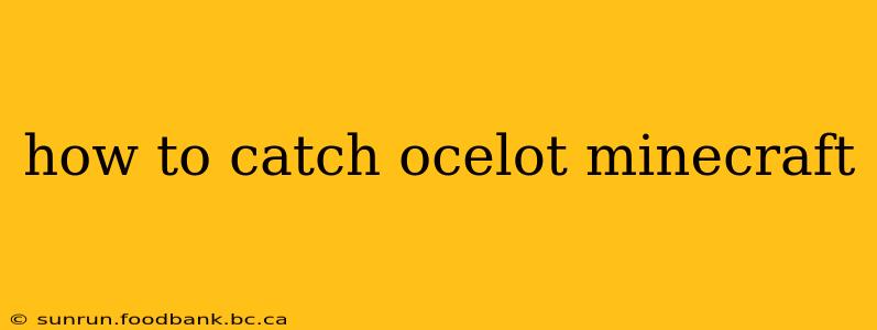 how to catch ocelot minecraft
