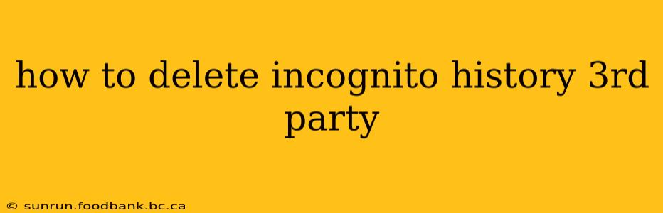 how to delete incognito history 3rd party