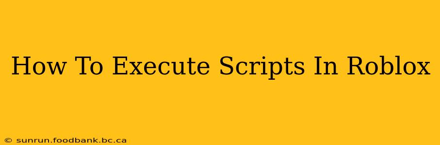 How To Execute Scripts In Roblox
