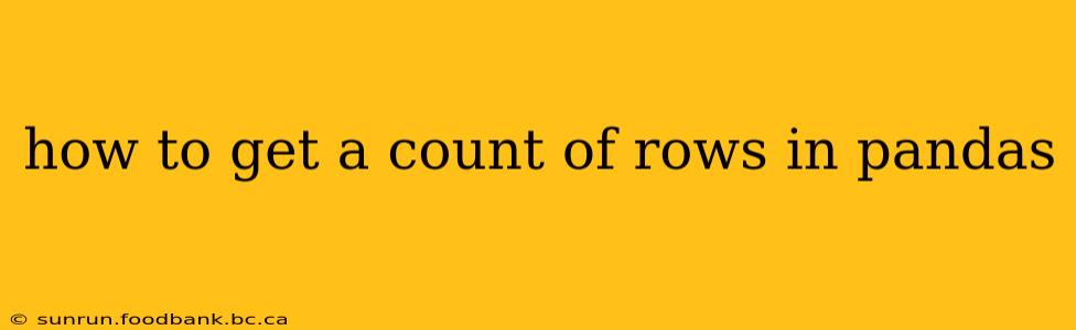 how to get a count of rows in pandas