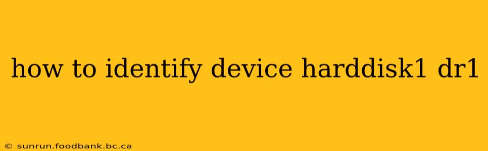 how to identify device harddisk1 dr1