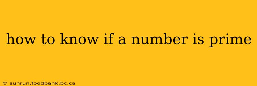 how to know if a number is prime