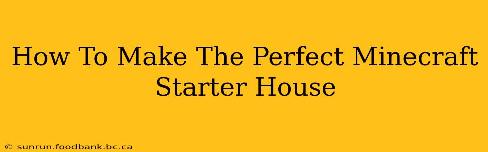 How To Make The Perfect Minecraft Starter House