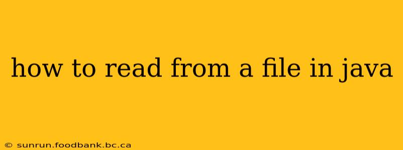 how to read from a file in java