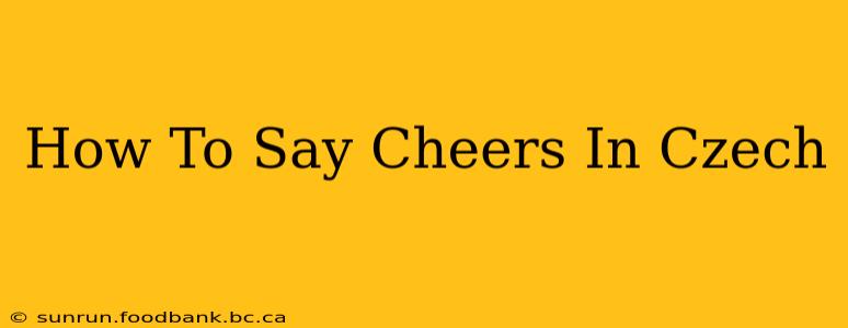 How To Say Cheers In Czech