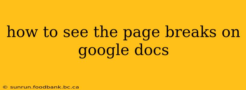 how to see the page breaks on google docs