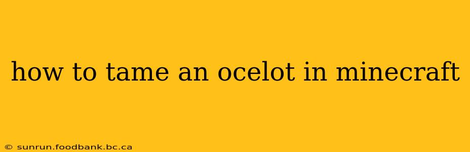 how to tame an ocelot in minecraft