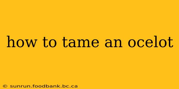 how to tame an ocelot