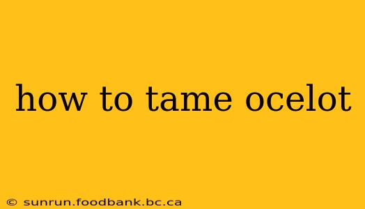 how to tame ocelot
