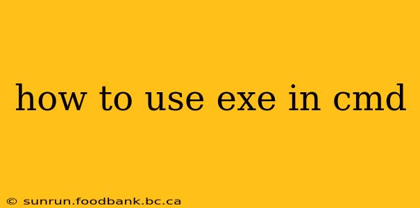 how to use exe in cmd