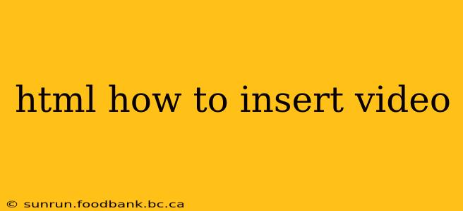 html how to insert video